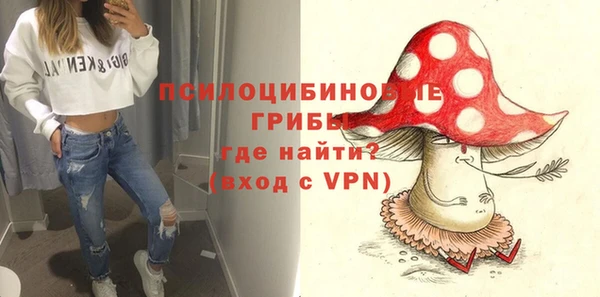 МДПВ Аркадак