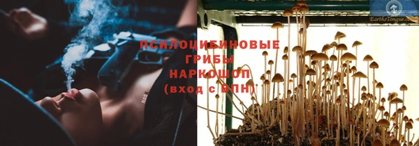 МДПВ Аркадак
